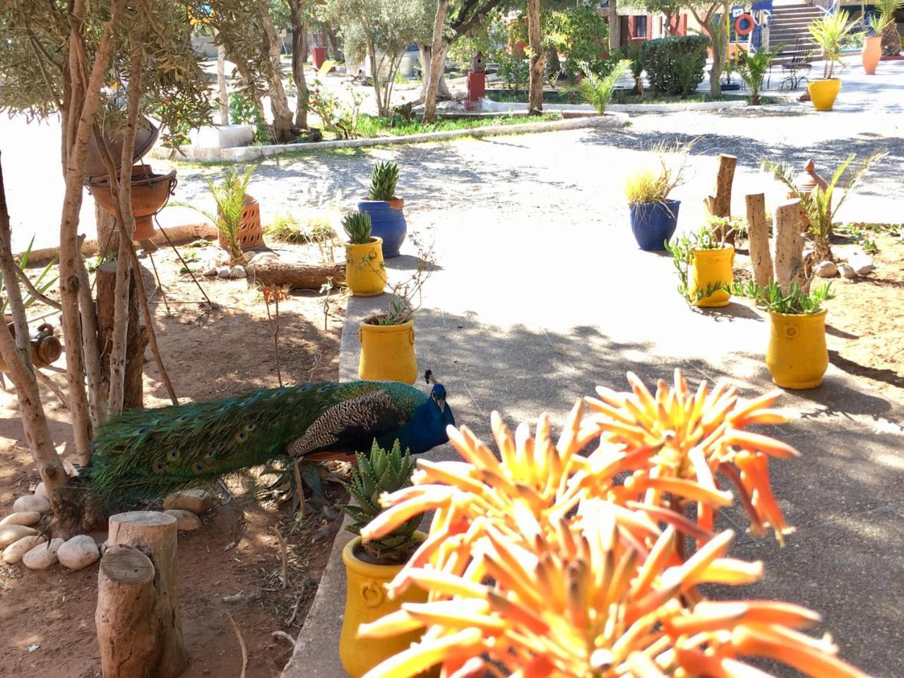 אסאוירה Camping & Hotel Le Calme מראה חיצוני תמונה