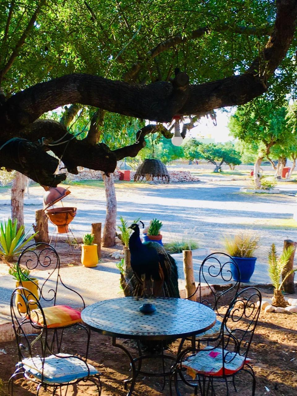 אסאוירה Camping & Hotel Le Calme מראה חיצוני תמונה