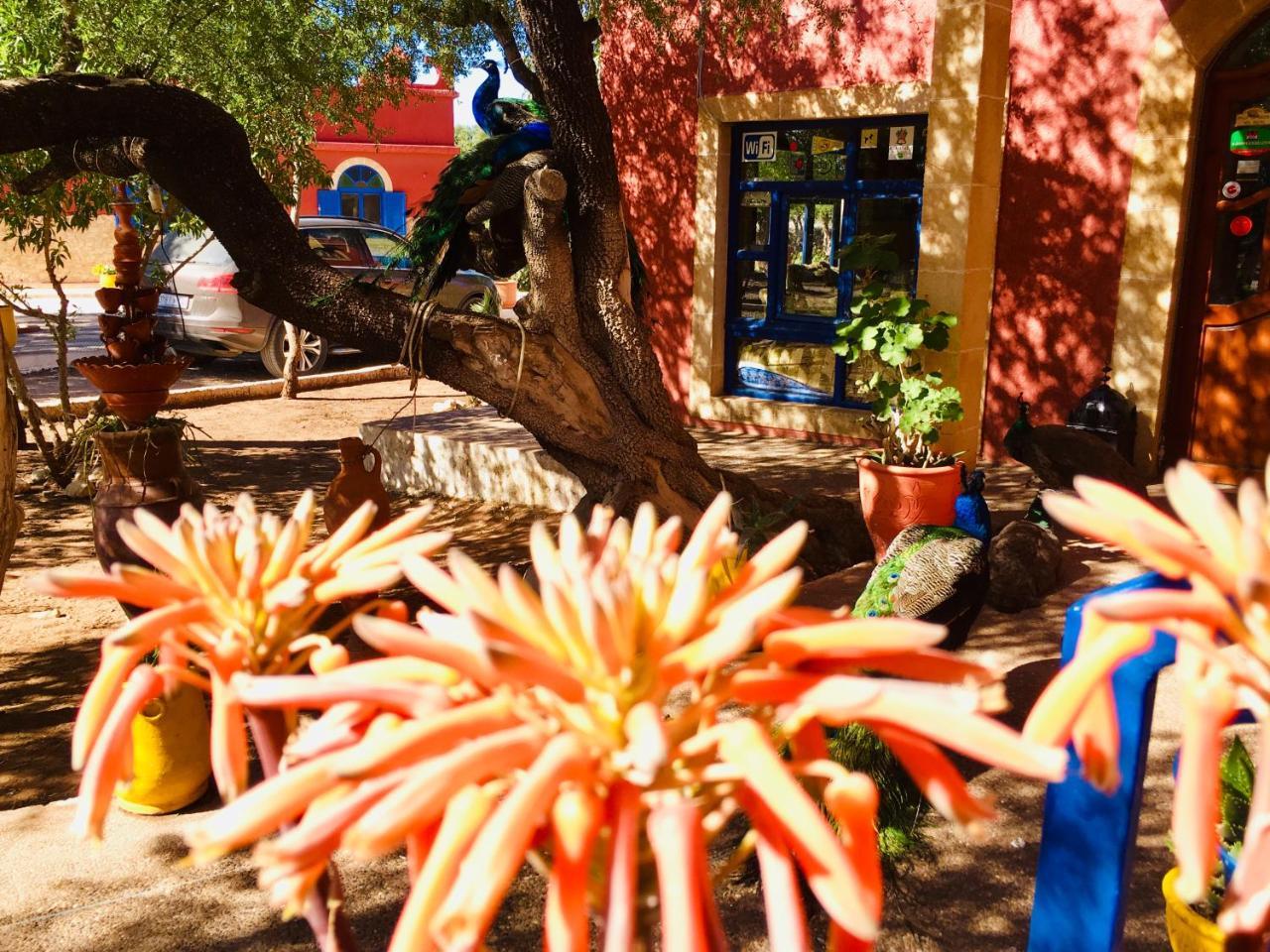 אסאוירה Camping & Hotel Le Calme מראה חיצוני תמונה